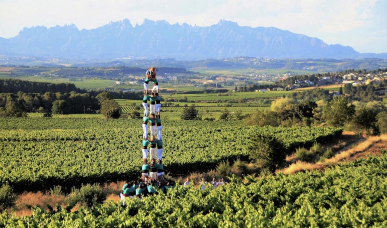 Tina De Vila, En La Capital Del Vino Vilafranca del Penedes Exterior photo
